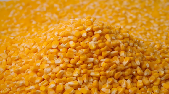 玉米粒谷堆的摄影图