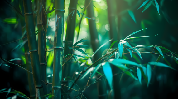 青绿竹叶透过阳光的超现实主义摄影图
