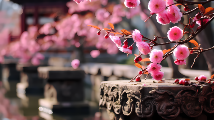 花园中的粉色花朵和禅宗佛教的影响摄影版权图片下载