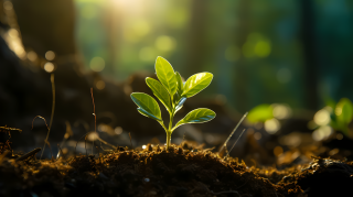 手滴水洒向绿叶，朦胧粉黄，地球作品风格摄影图