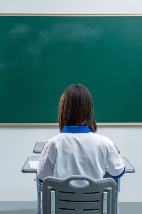 认真学习的学生背影高清图版权图片下载