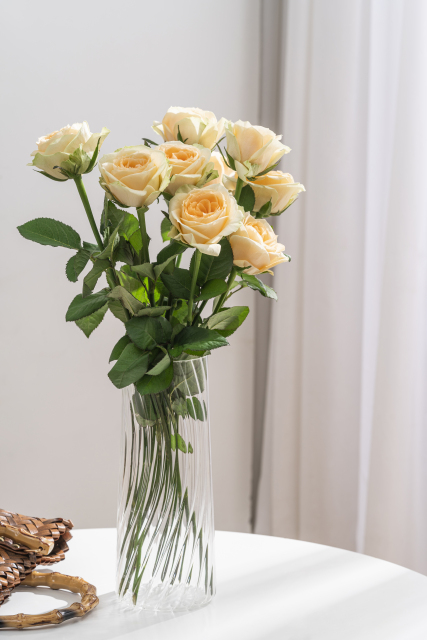  幽香佳人香槟玫瑰实拍图