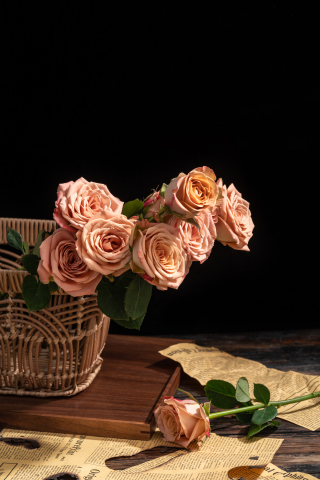 温馨回忆卡布奇诺玫瑰实拍图