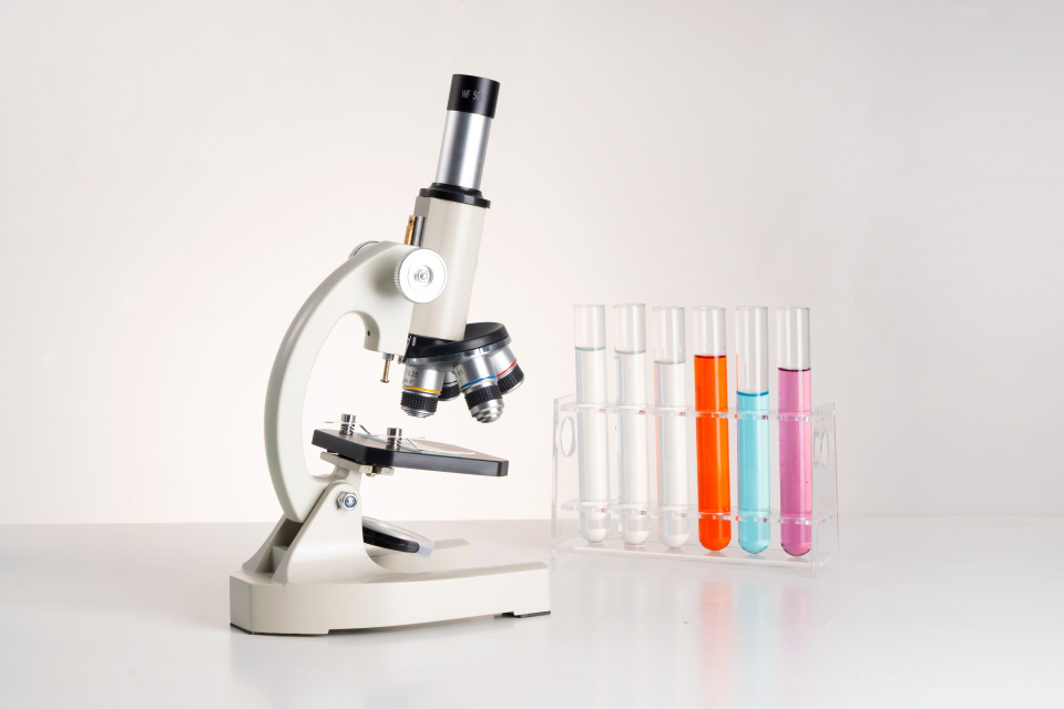 白色显微镜实拍图