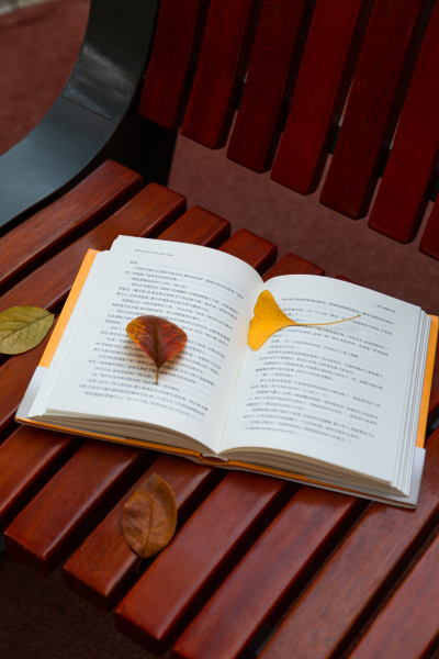 落到书本上的叶子实拍图
