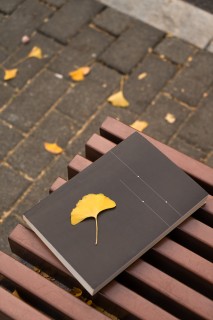 街边椅子的落叶实拍图