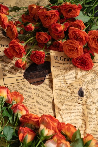 缤纷色彩玫瑰实拍图