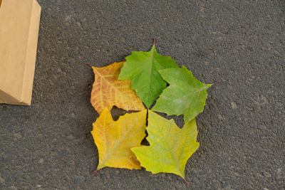 创意摆放的秋天落叶实拍图