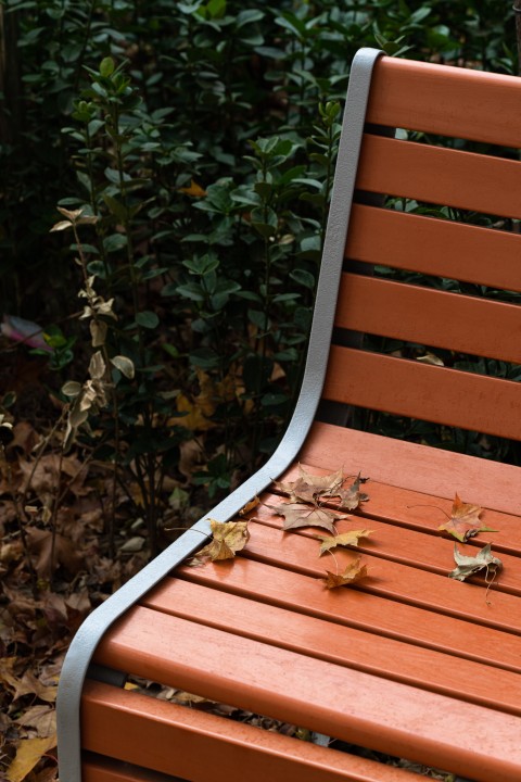 公园椅子上的散落落叶实拍图版权图片下载