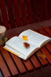 公园椅子上书本的落叶实拍图