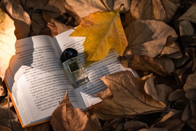 落叶中的书籍香水高清图