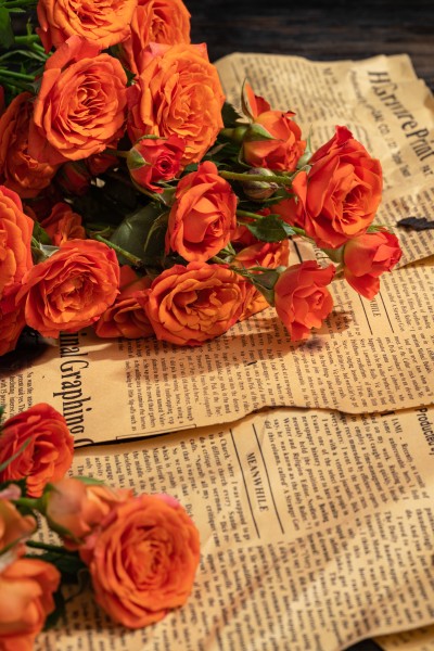 温馨浪漫橙色芭比玫瑰实拍图