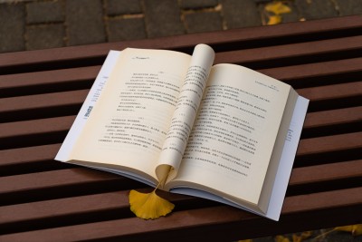 公园长椅上的落叶和书本实拍图