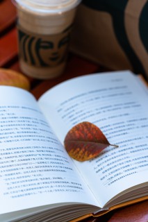 落到书本上的叶子实拍图