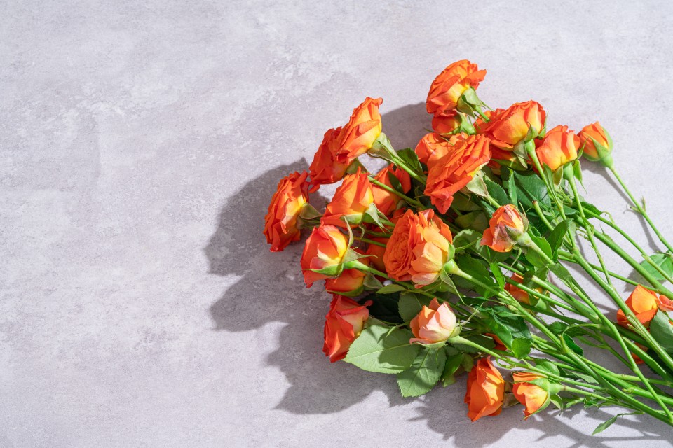 花海漫步橙色芭比玫瑰实拍图