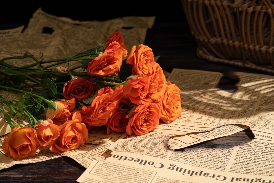 清新花束玫瑰实拍图