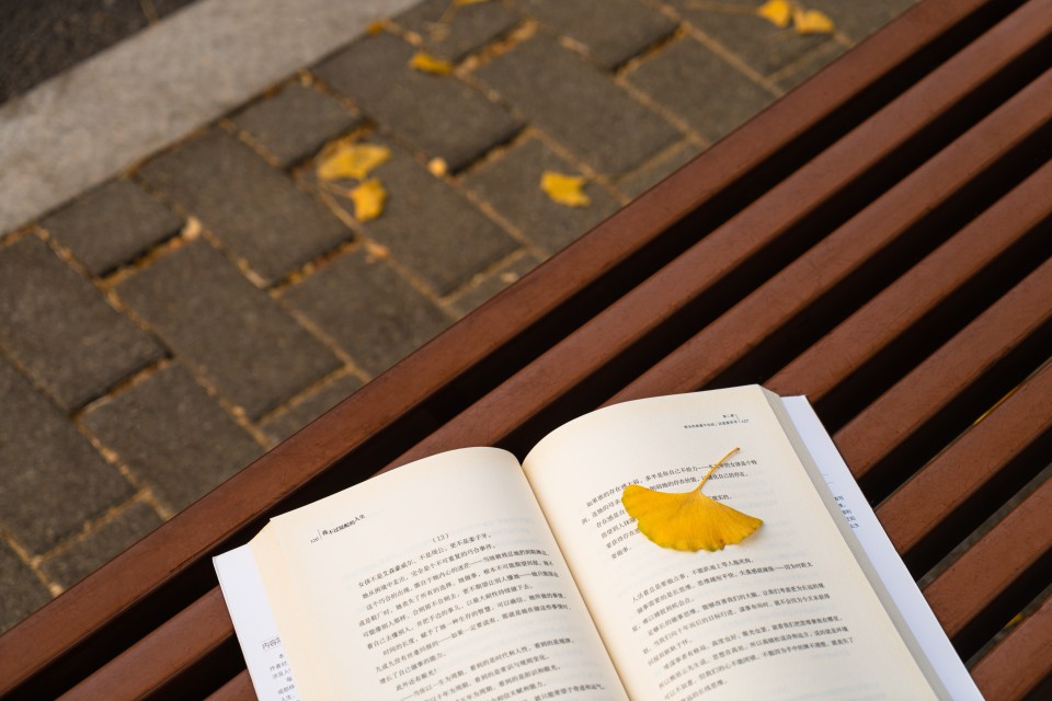 秋天叶子落到书上实拍图