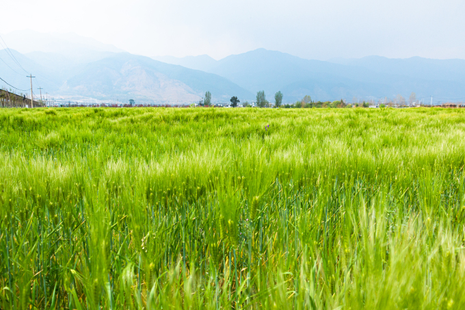 草原风光高清图