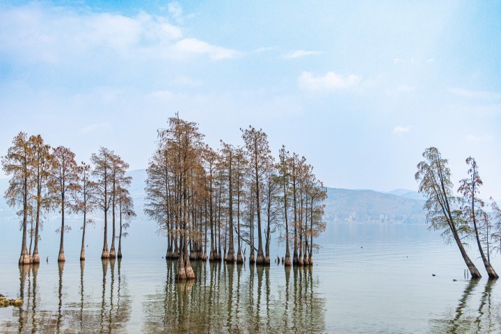 艺术实景拍摄图版权图片下载