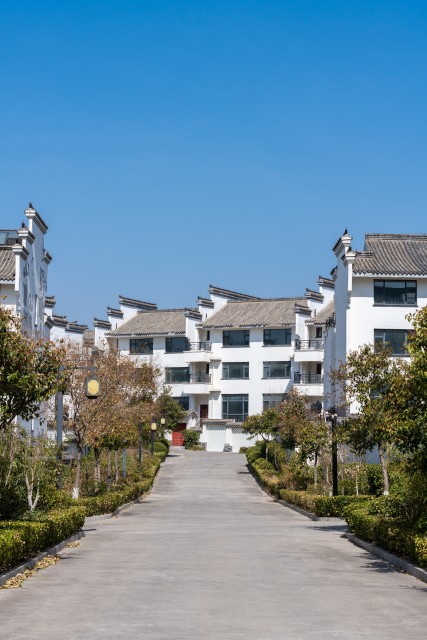 春天园区里的绿意实拍图