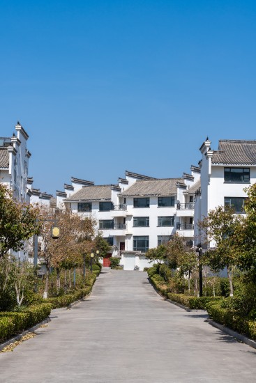 春天园区里的绿意实拍图