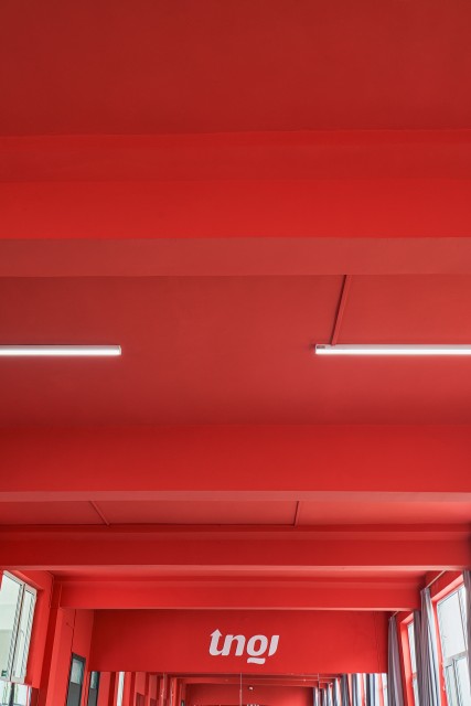 红色装饰实拍图