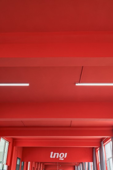 红色装饰实拍图