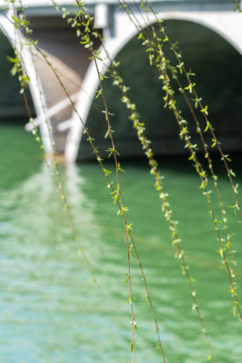 桥洞底下的绿色湖水实拍图版权图片下载
