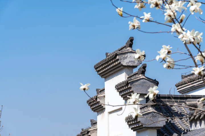 徽式建筑旁桃花实拍图版权图片下载