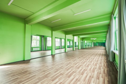 个性的绿色走廊高清图