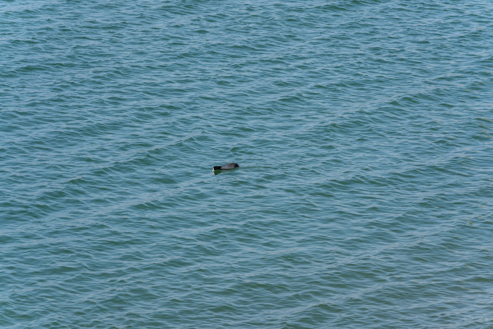 波光粼粼的湖面实拍图