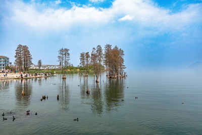 湖面风光风景图