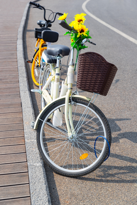 旅行代步工具自行车图版权图片下载