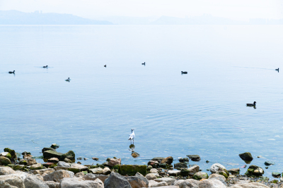 洱海湖面风光图