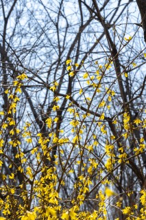 心旷神怡的大自然实拍图