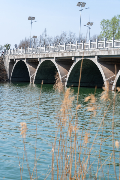 湖上建立的小桥实拍图