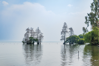 云南洱海风景图