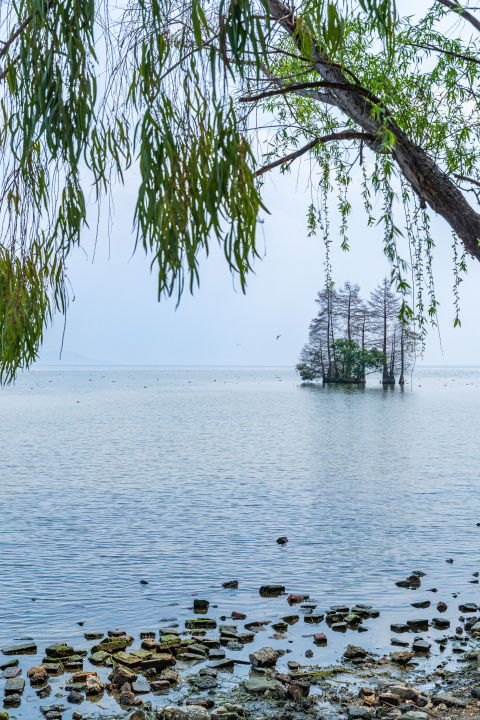 湖边鹅卵石风景图版权图片下载