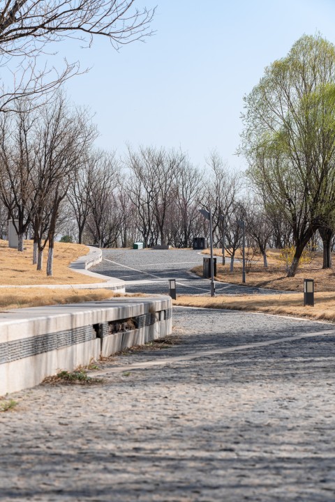 道路两旁青葱绿意实拍图版权图片下载