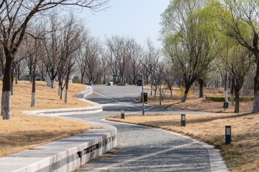 春天公园小道风景实拍图