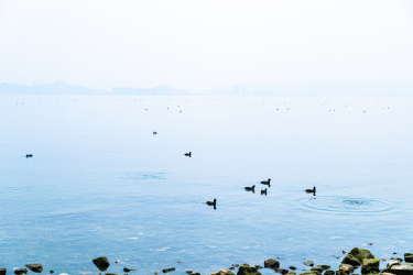 大理洱海美景图