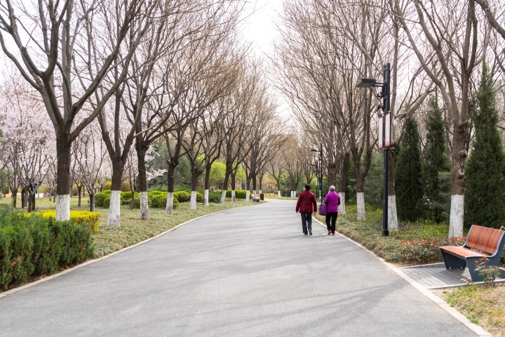 宽敞的公园小路实拍图版权图片下载