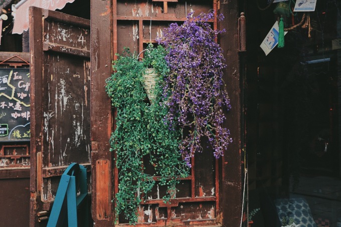 挂在门口的满天星干花高清图