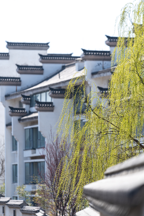 春天侧拍古风建筑与植物实拍图版权图片下载