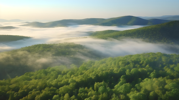 山谷与雾中的森林景观摄影