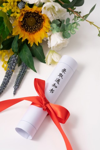 向日葵旁的录取通知书实拍图