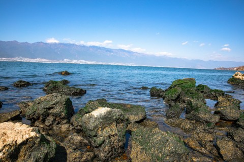 礁石大海风光图