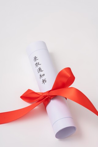 简约绑着红丝带的通知书实拍图