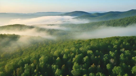 绿色山谷中的雾霭摄影图
