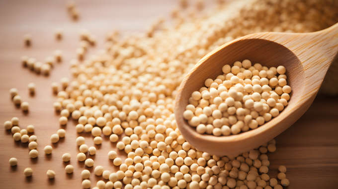 粮食素材黄豆特写图